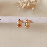 Argolla Briana - Colección Acero